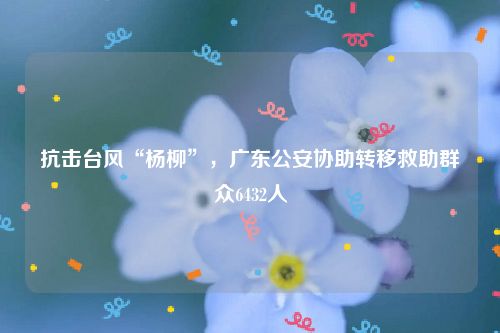 抗击台风“杨柳”，广东公安协助转移救助群众6432人
