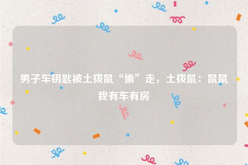 男子车钥匙被土拨鼠“偷”走，土拨鼠：鼠鼠我有车有房