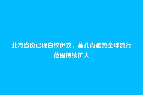 北方省份已现白纹伊蚊，基孔肯雅热全球流行范围持续扩大