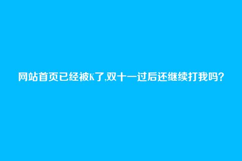 网站首页已经被K了,双十一过后还继续打我吗？