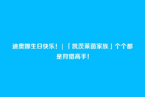 迪奥娜生日快乐！| 「凯茨莱茵家族」个个都是狩猎高手！