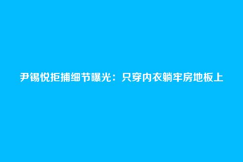 尹锡悦拒捕细节曝光：只穿内衣躺牢房地板上