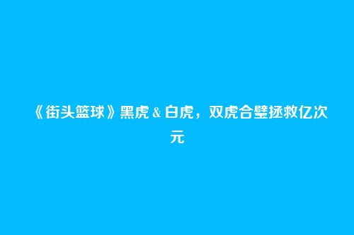 《街头篮球》黑虎＆白虎，双虎合璧拯救亿次元