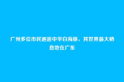 广州多位市民邂逅中华白海豚，其世界最大栖息地在广东
