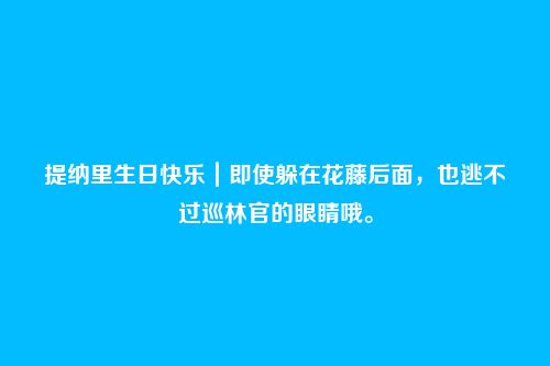 提纳里生日快乐｜即使躲在花藤后面，也逃不过巡林官的眼睛哦。
