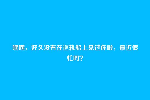 嘿嘿，好久没有在巡轨船上见过你啦，最近很忙吗？