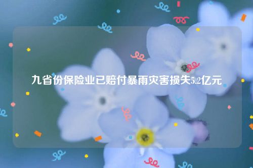 九省份保险业已赔付暴雨灾害损失5.2亿元