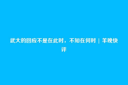 武大的回应不是在此时，不知在何时 | 羊晚快评