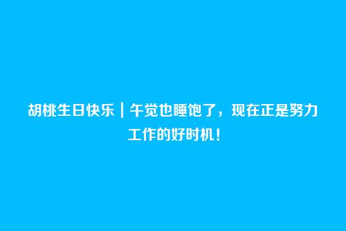 胡桃生日快乐｜午觉也睡饱了，现在正是努力工作的好时机！