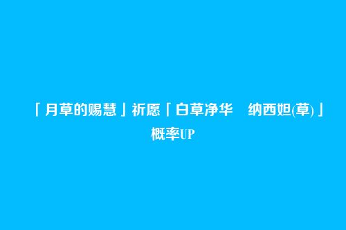 「月草的赐慧」祈愿「白草净华・纳西妲(草)」概率UP