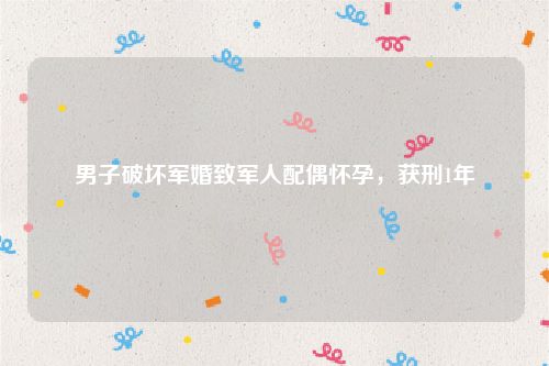 男子破坏军婚致军人配偶怀孕，获刑1年