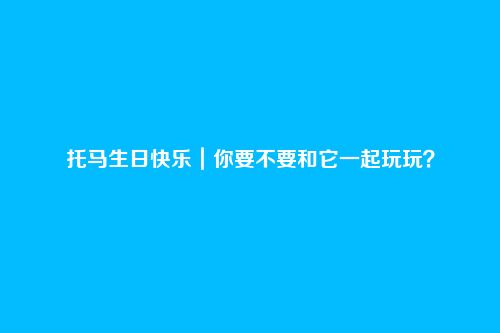 托马生日快乐｜你要不要和它一起玩玩？