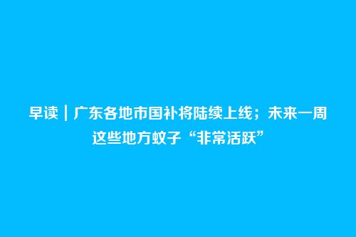早读｜广东各地市国补将陆续上线；未来一周这些地方蚊子“非常活跃”