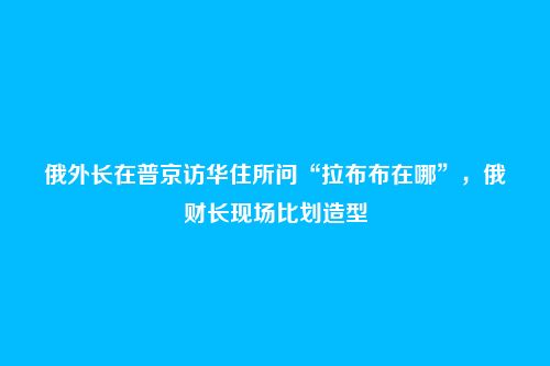 俄外长在普京访华住所问“拉布布在哪”，俄财长现场比划造型