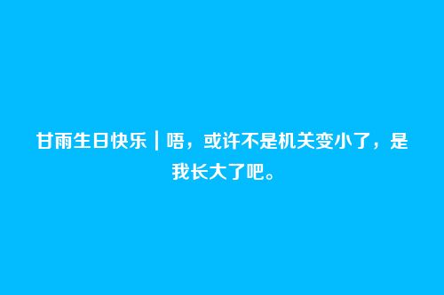 甘雨生日快乐｜唔，或许不是机关变小了，是我长大了吧。
