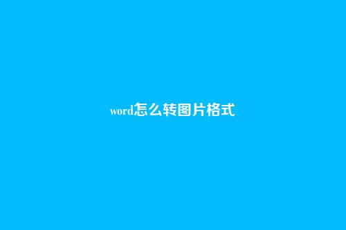 word怎么转图片格式