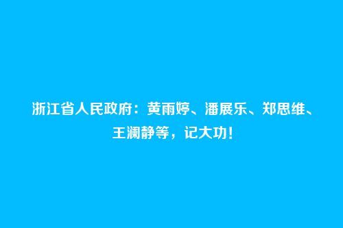 浙江省人民政府：黄雨婷、潘展乐、郑思维、王澜静等，记大功！