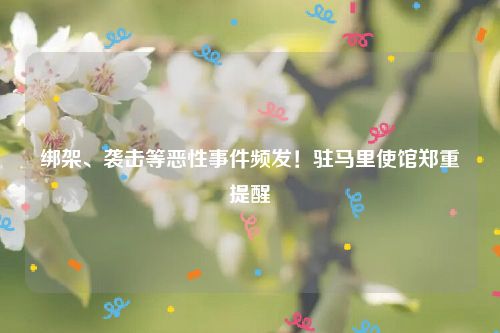 绑架、袭击等恶性事件频发！驻马里使馆郑重提醒