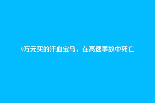 9万元买的汗血宝马，在高速事故中死亡