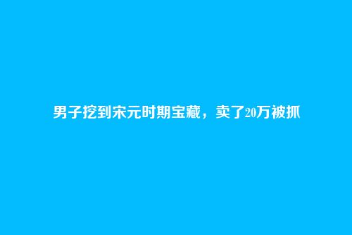 男子挖到宋元时期宝藏，卖了20万被抓