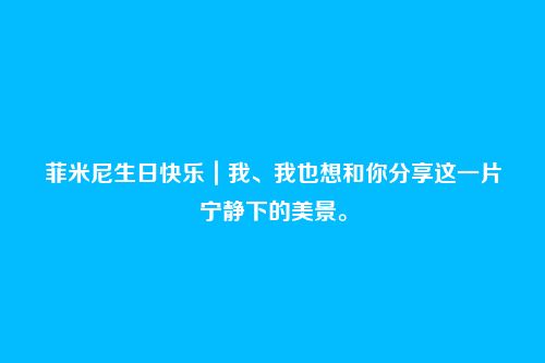 菲米尼生日快乐｜我、我也想和你分享这一片宁静下的美景。