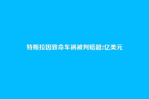 特斯拉因致命车祸被判赔超2亿美元
