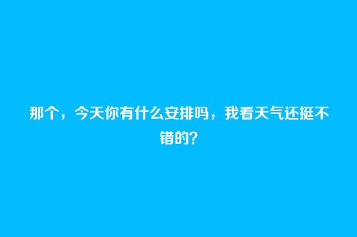那个，今天你有什么安排吗，我看天气还挺不错的？