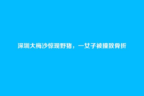 深圳大梅沙惊现野猪，一女子被撞致骨折