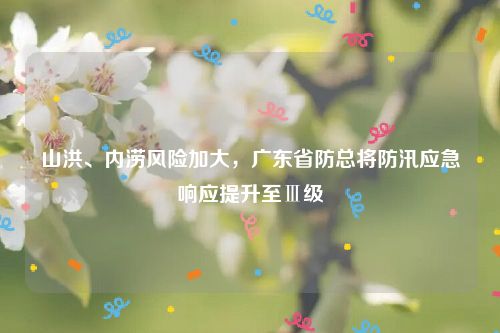 山洪、内涝风险加大，广东省防总将防汛应急响应提升至Ⅲ级