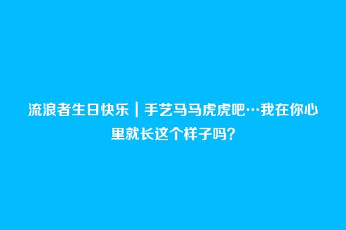流浪者生日快乐｜手艺马马虎虎吧…我在你心里就长这个样子吗？
