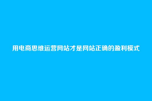 用电商思维运营网站才是网站正确的盈利模式