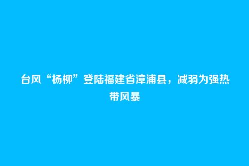 台风“杨柳”登陆福建省漳浦县，减弱为强热带风暴